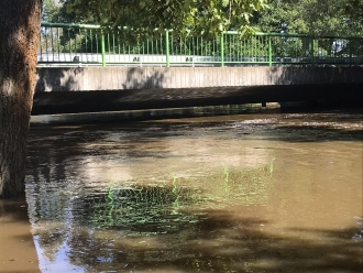 Voda v řece pomalu stoupala.